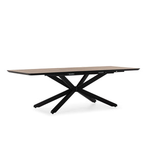 Tavolo rettangolare allungabile Adinos 190/250x75 cm