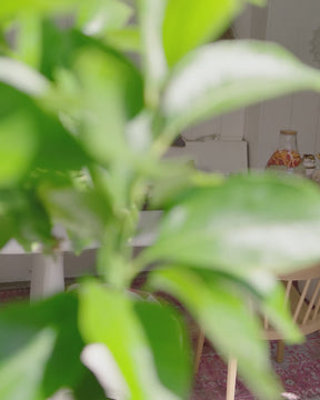 Tavolino da esterno bianco Aris 40x47 cm