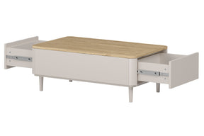 Tavolino 2 cassetti Elivo